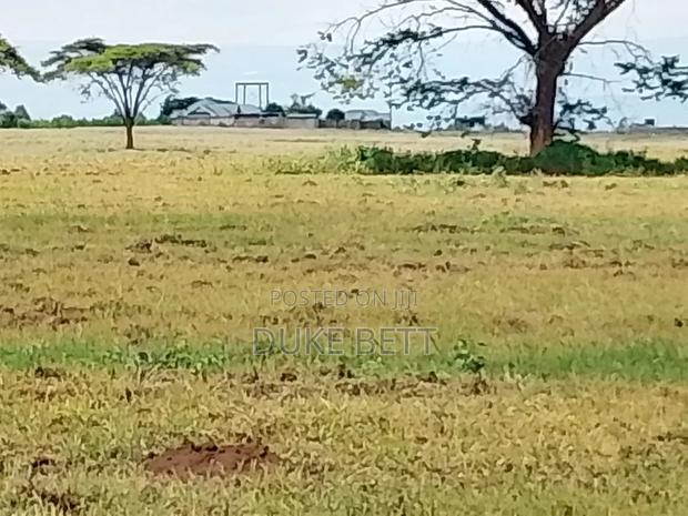 8 Acres for Sale - thumbnail 3