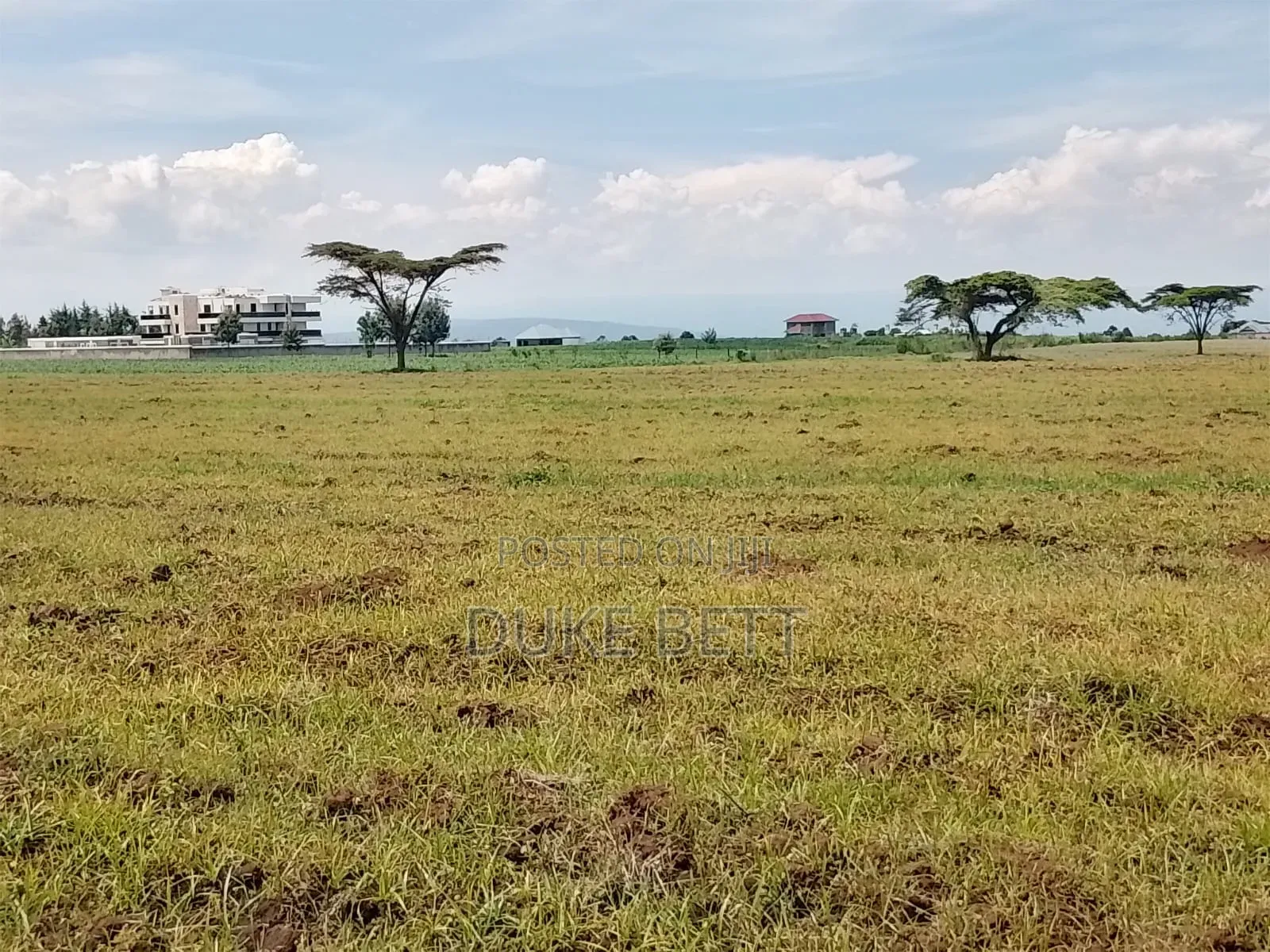 8 Acres for Sale