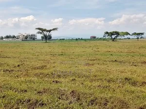 8 Acres for Sale