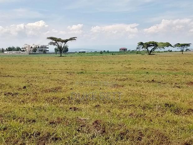 8 Acres for Sale - thumbnail 4