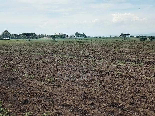 8 Acres for Sale - thumbnail 5