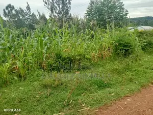 Prime Residential Farming Land Kochia Homa Bay County