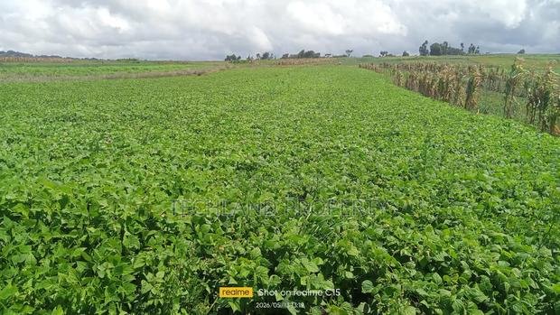 2.5acres Amboni Mweiga.