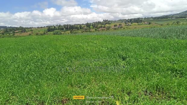 2.5acres Amboni Mweiga. - thumbnail 2