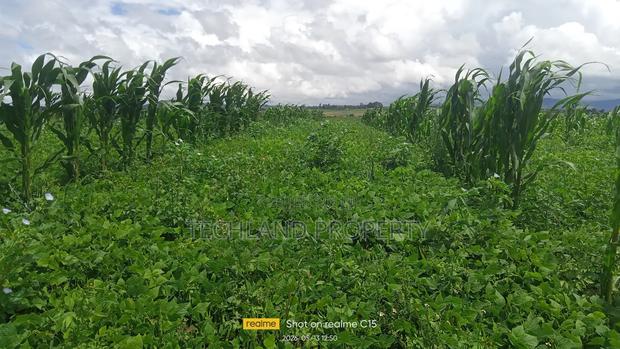 3.5 Acres Amboni Mweiga Nyeri County.
