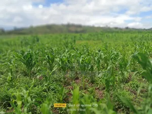 1acre Mweiga Amboni