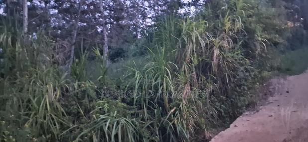 Land for Sale - thumbnail 2