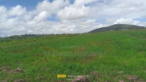 1acre Mweiga Amboni