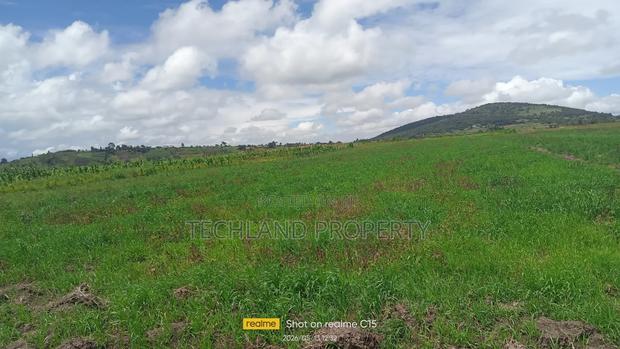 1acre Mweiga Amboni - thumbnail 2