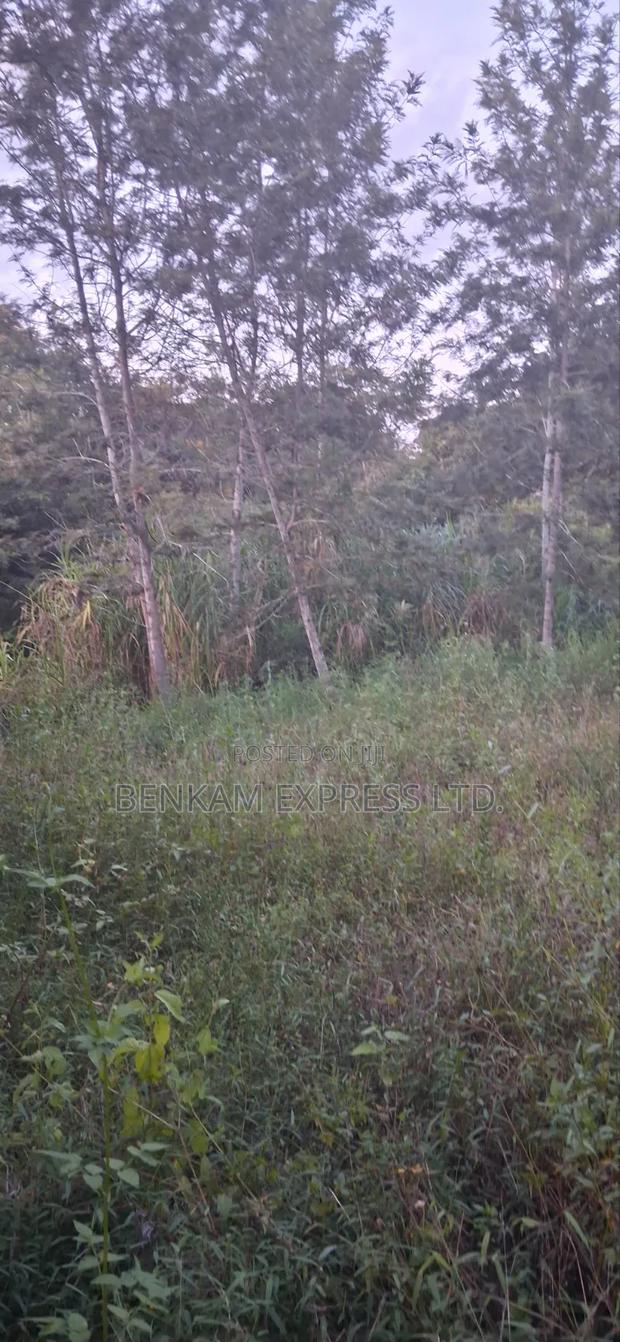 Land for Sale - thumbnail 3