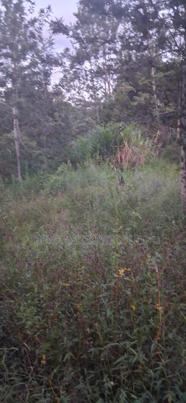 Land for Sale - thumbnail 4