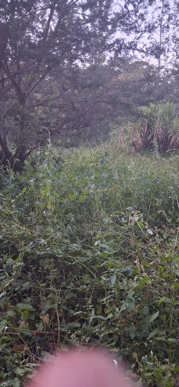 Land for Sale - thumbnail 5