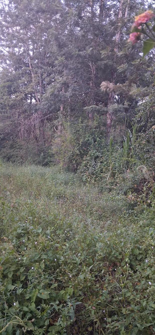 Land for Sale - thumbnail 6