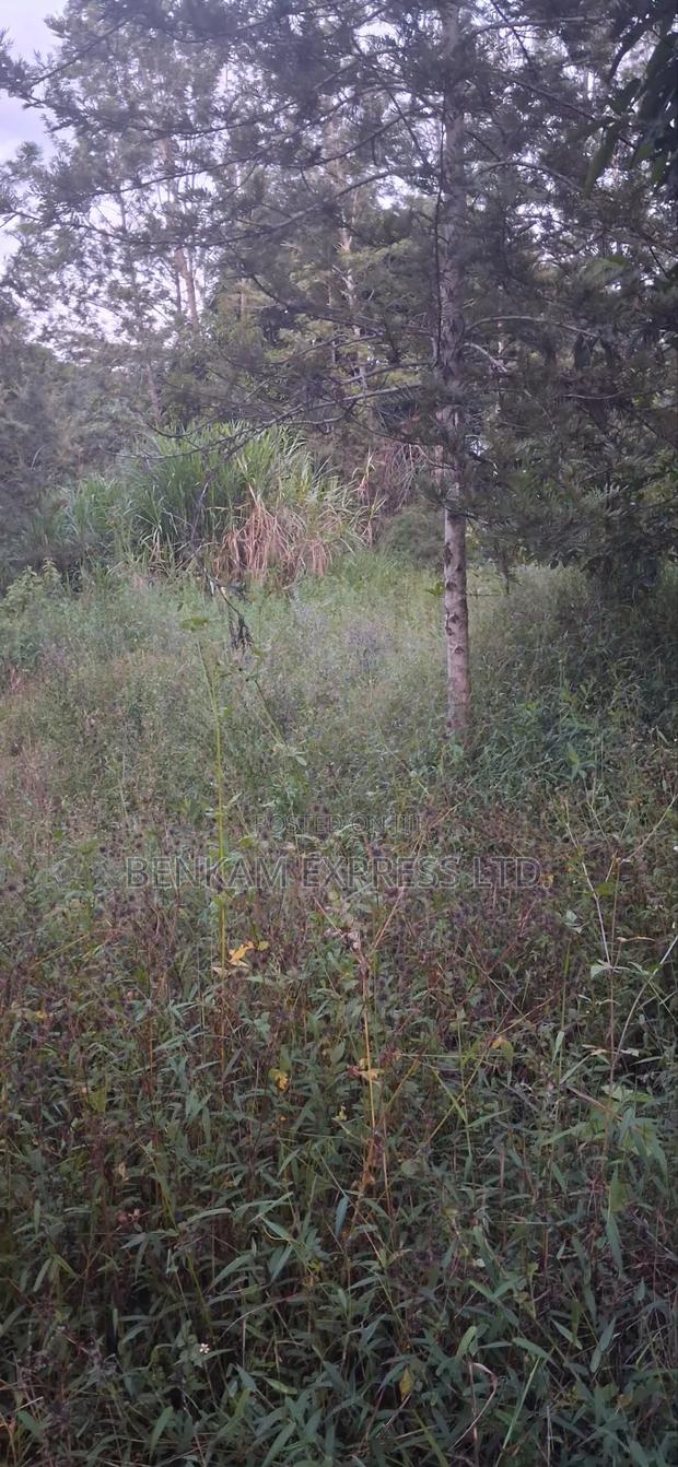 Land for Sale - thumbnail 7