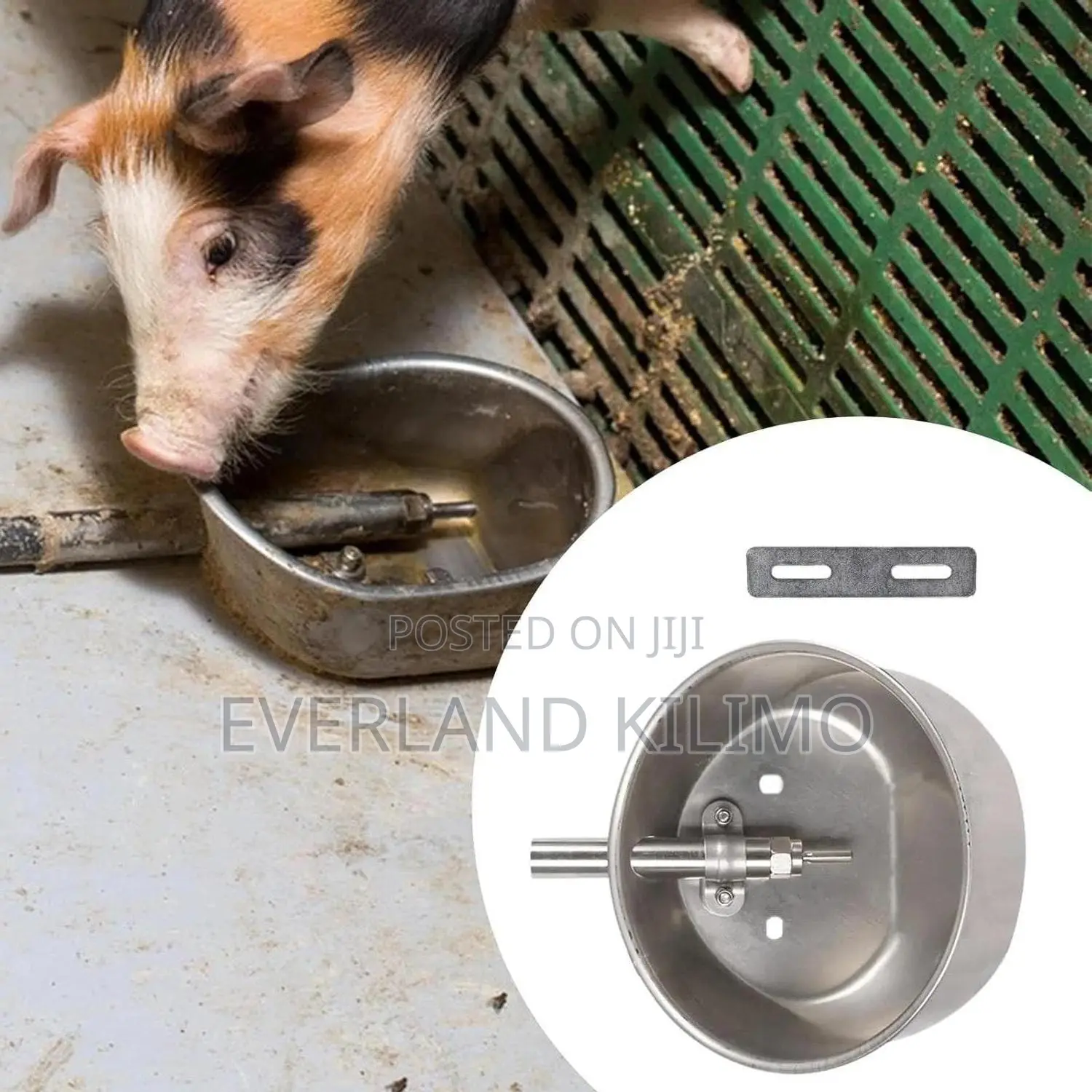 Automatic Pig Drinker - Stainless