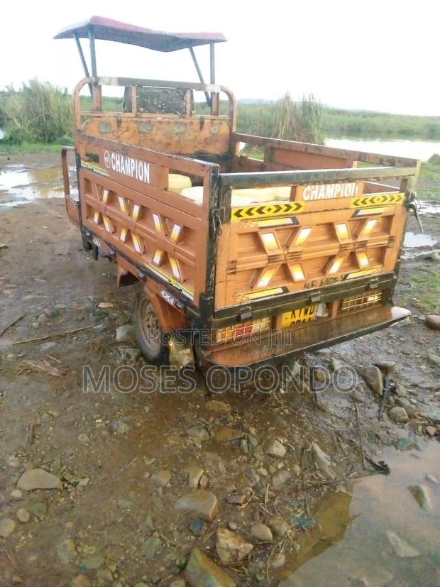 Atul Gem Cargo 2023 Brown - thumbnail 2