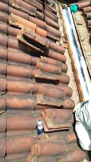 Roofing Repairs and Other Related Works
