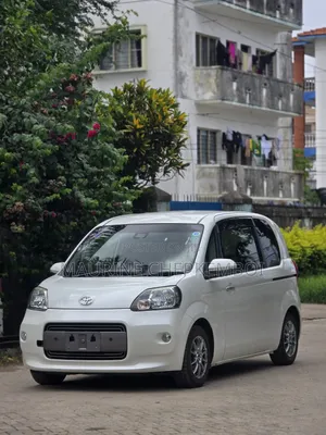 Toyota Porte 1.5 AWD 2019 Pearl