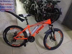 Size 24 Tanda Mountain Bike