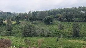 Prime Land Along Thika Gatanga Road