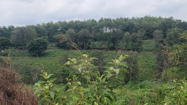 Prime Land Along Thika Gatanga Road - thumbnail 2