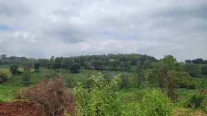 Prime Land Along Thika Gatanga Road
