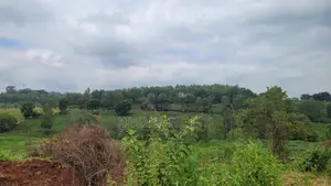 Prime Land Along Thika Gatanga Road