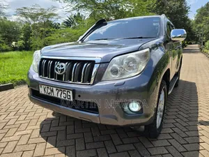 Toyota Land Cruiser Prado 2010 Gray