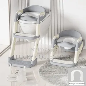 3 In 1 Toilet Ladder