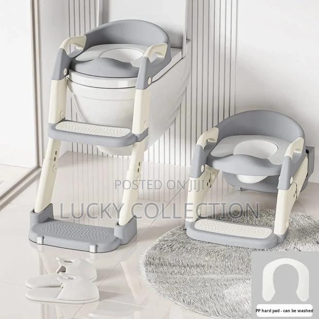 3 In 1 Toilet Ladder