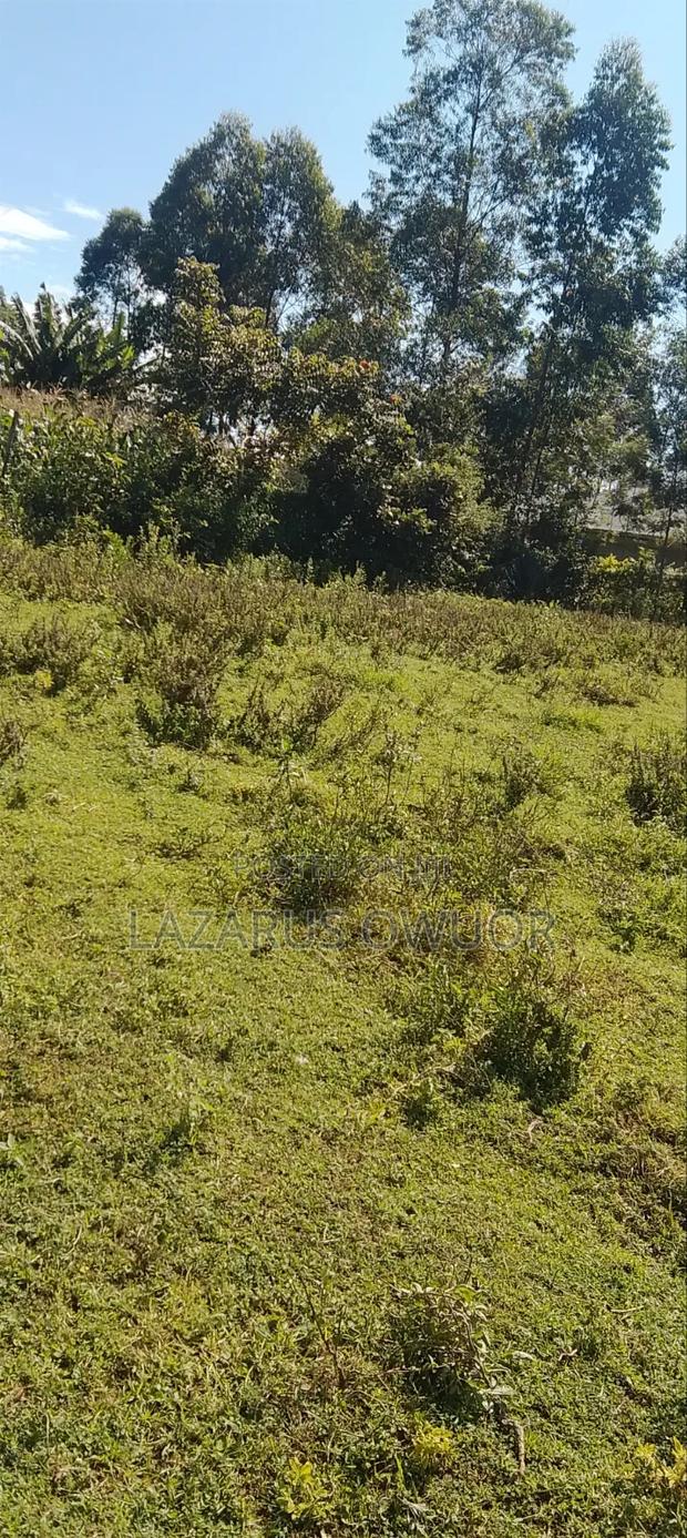 Land for Sale - thumbnail 2