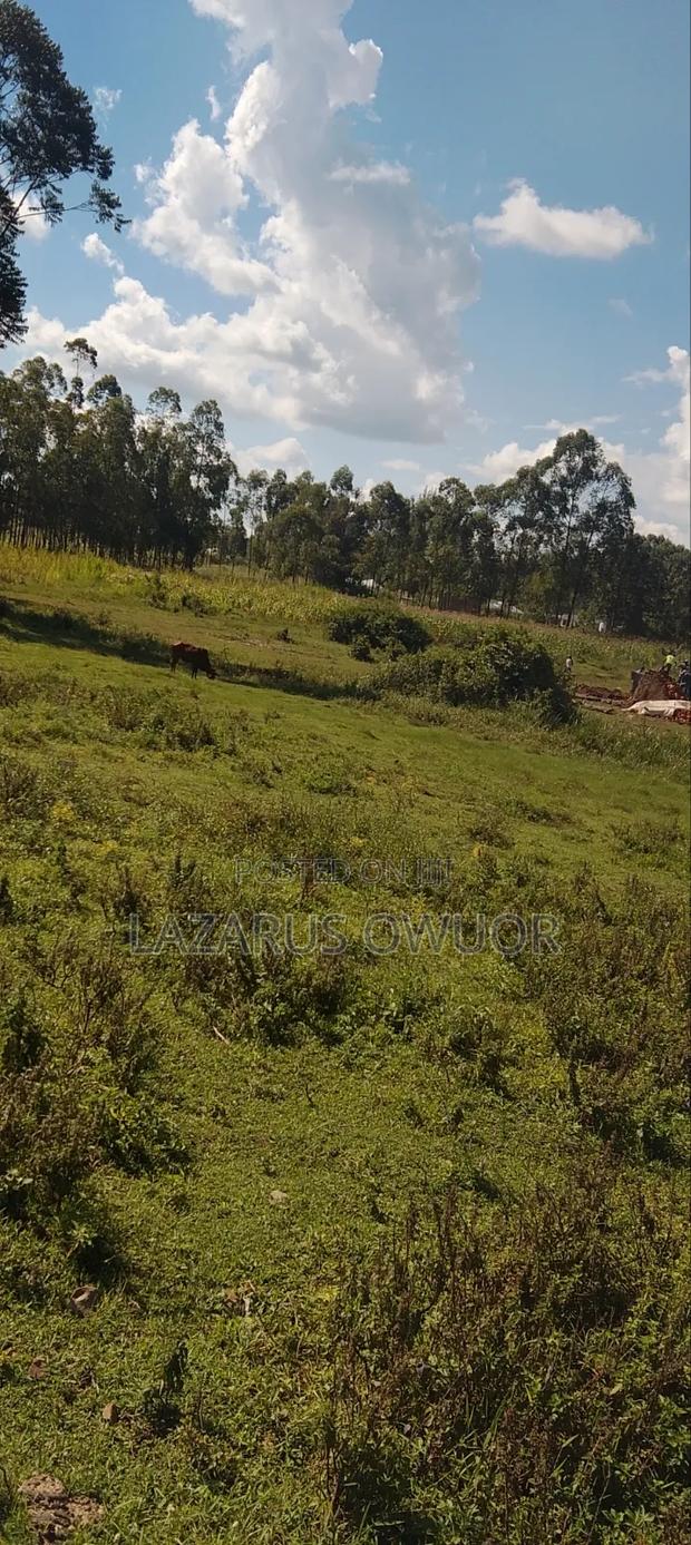Land for Sale - thumbnail 4