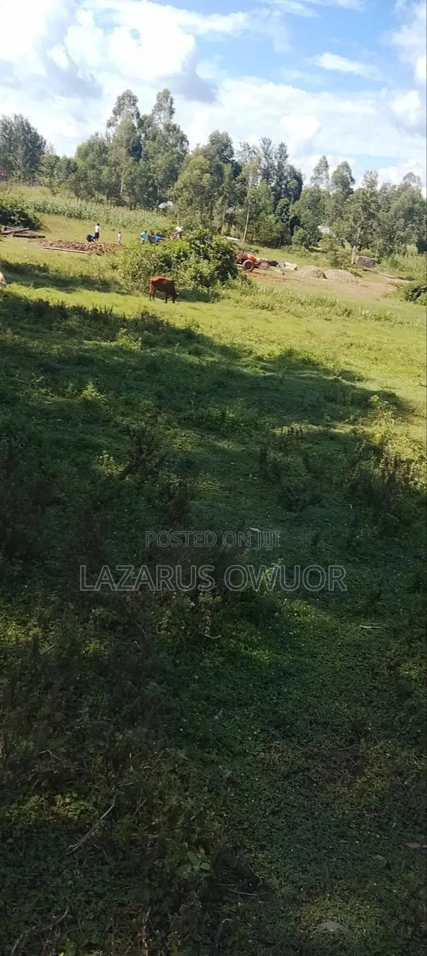 Land for Sale - thumbnail 6