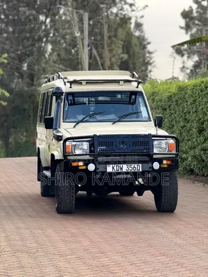 Magical Safari
