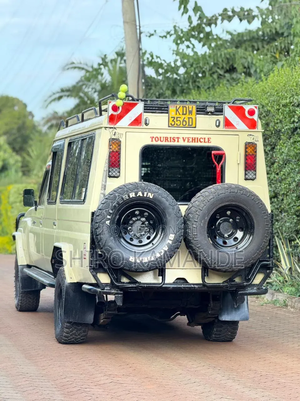 Magical Safari