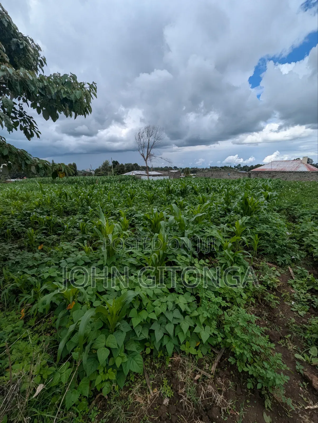 Land for Sale in Njoro Egerton