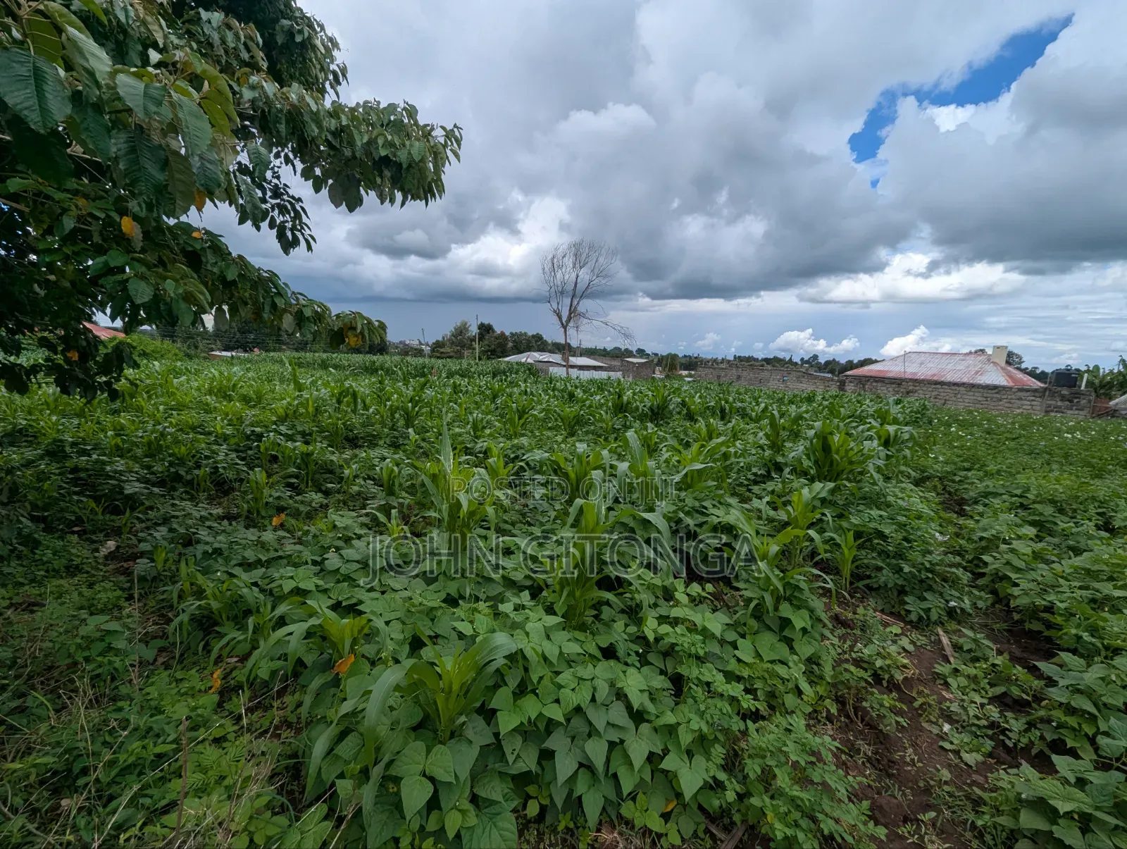 Land for Sale in Njoro Egerton