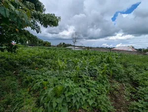 Land for Sale in Njoro Egerton
