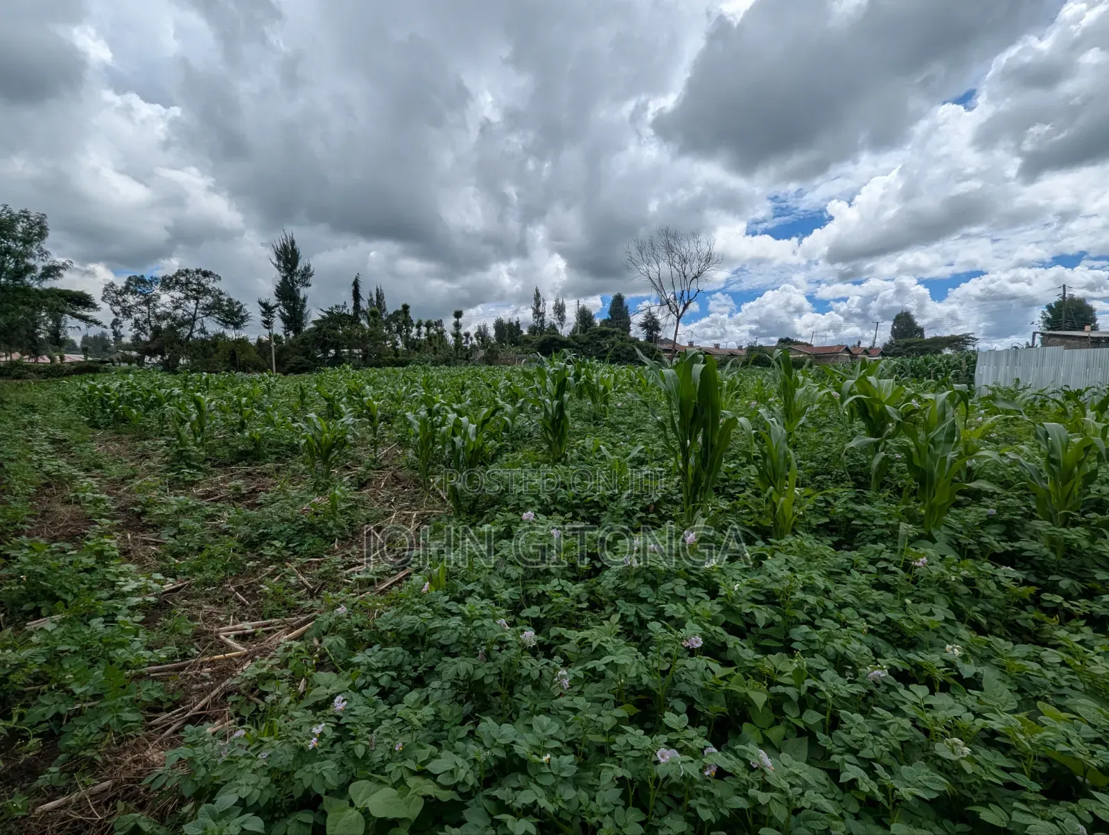 Land for Sale in Njoro Egerton