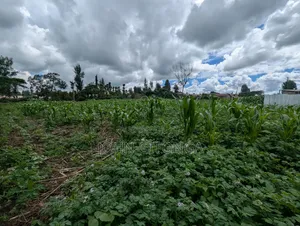 Land for Sale in Njoro Egerton