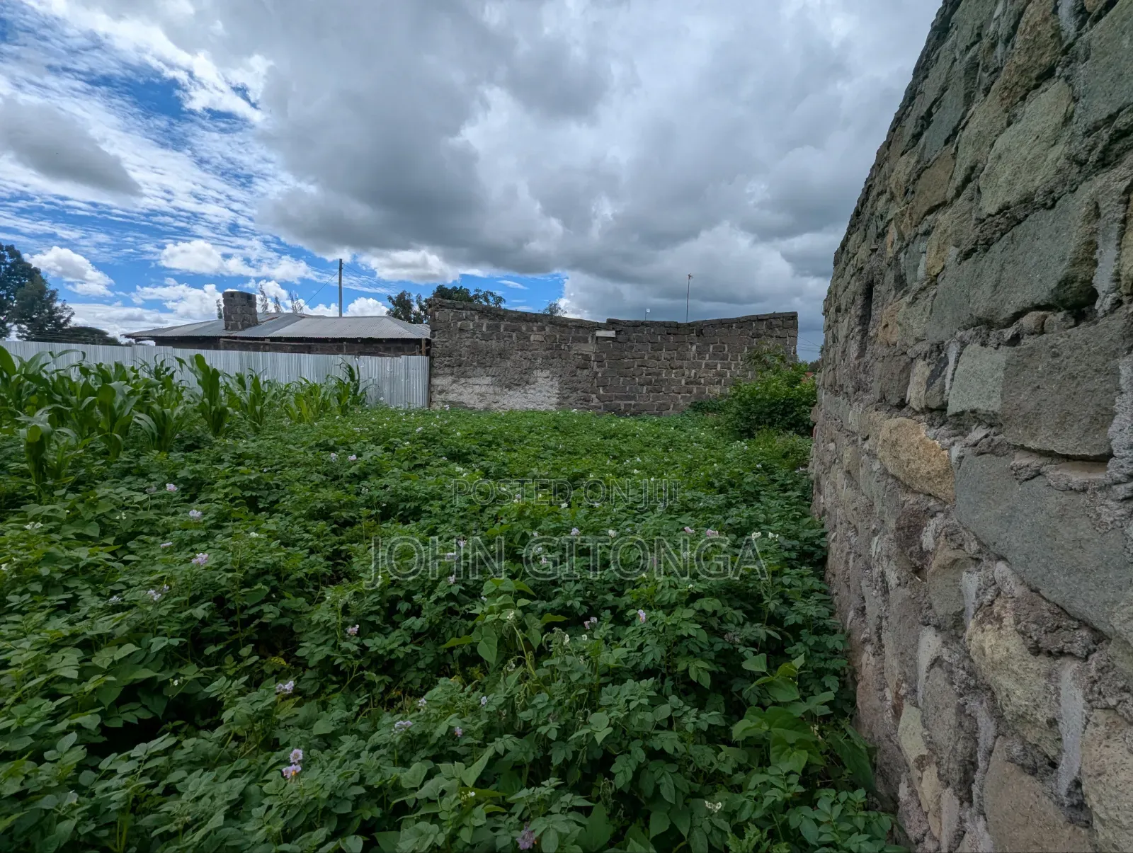 Land for Sale in Njoro Egerton