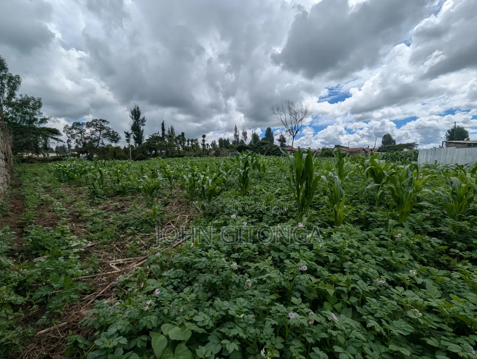 Land for Sale in Njoro Egerton