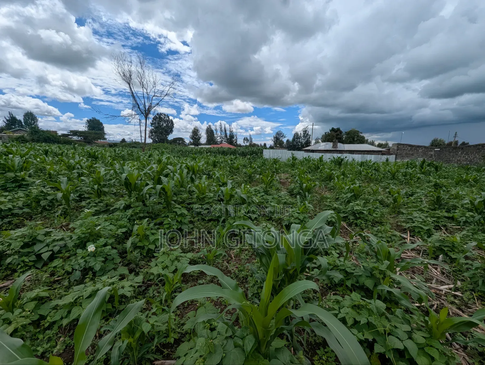 Land for Sale in Njoro Egerton