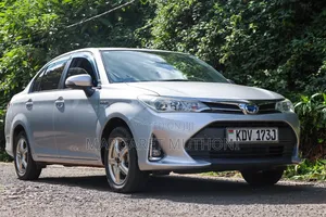 Toyota Axio 2018 Silver