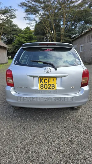 Toyota Corolla Fielder 1.5 Petrol FWD 2008 Silver