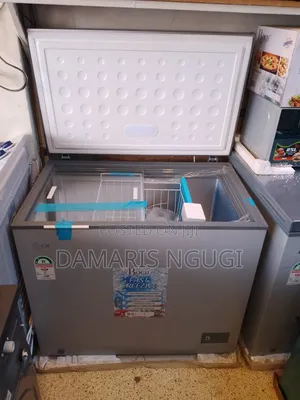 Roch Deep Freezer ( New) Gray