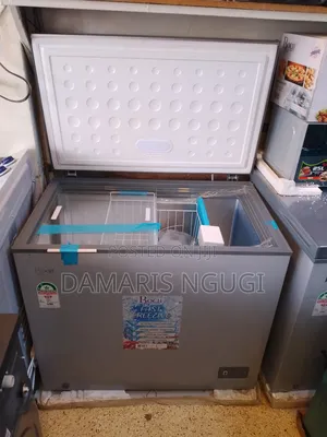 Roch Deep Freezer ( New) Gray