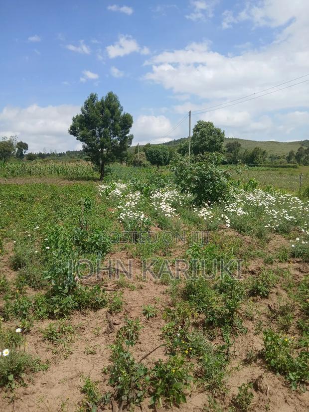 100x100 Land in Naivasha Mwichirigiri Near the Church