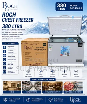 Roch Chest Freezer 380l
