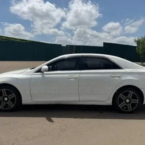 Toyota Mark X 2017 White